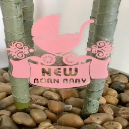 Newborn Gift